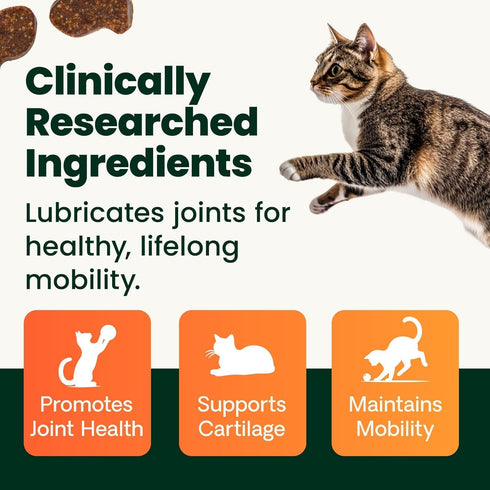 30 Count VetriScience Ultimate Strength Healthy Hip & Joint Chews, GlycoFlex Glucosamine, Chondroitin and Green-Lipped