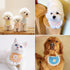ANNUOZE 5PCS Cute Lace Pet Bib, Sweet Plaid Flower Cat Bandana, Kitty Scarves, Cotton Saliva Towel for Small Medium Dog
