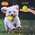 LaRoo Squeaky Dog Ball Toy, Durable Natural Rubber Chew Toy for Small Medium Large Dogs, Floating Training (6.5CM Green)