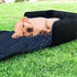 Flow.month 2 1 Pet Front Seat Cover Pet Booster Seat,Deluxe in Dog Seat Cover for Cars Waterproof Dog Front Seat Cover