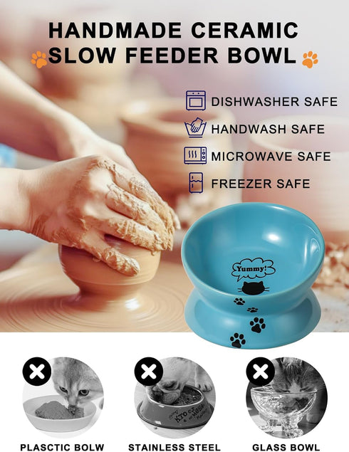 Y YHY Elevated Cat Food Bowl, Ceramic Raised Bowl with Tilt Angle for Cat's Spine Protection, Anti Vomiting Dish (Lake