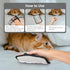 Obfuscate Pet Hair Removal Glove for Cats & Dogs - Eco-Friendly & Reusable Tool