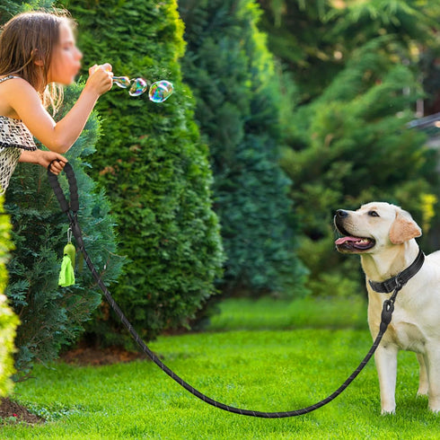 Dynmeow Reflective Dog Collar and Leash Set, 6FT Strong Climbing Rope Leash with Padded Handle for Medium Large Dogs