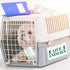 Eaasty 23 Pcs Pet Airline Travel Kit, Includes 4 Live Animal Stickers, 2 Pet Travel Bowls, 1 Live Animal Label, 10