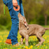 Andiker Squeaky Dog Toy, TPR Chewable Dog Toys for Teeth Grinding & Cleaning, Suitable for All Dog Sizes (Small Orange)