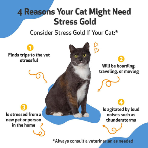 Pet Wellbeing Stress Gold for Cats - Supports Relaxation, Travel, Vet Trips, 2 oz (59 ml) Herbal Supplement
