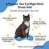 Pet Wellbeing Stress Gold for Cats - Supports Relaxation, Travel, Vet Trips, 2 oz (59 ml) Herbal Supplement