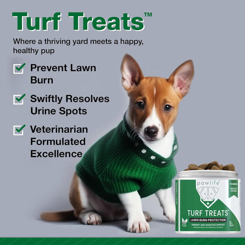 Green Grass Dog Chews - 120 Turf Treats Repair, Veterinarian Formulated Dog Urine Neutralizer for Lawn Protection