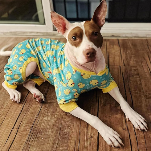 KYEESE Velvet Dog Pajamas, Soft Pjs for Medium Sized Dogs with Yellow Ducks Pattern, Stretchy Pet Jammies Coat Comfy