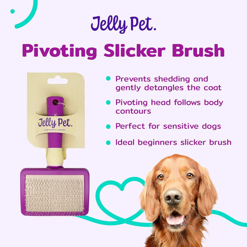 Pivoting Slicker Brush - Soft Pin Slicker for Shedding Dogs, Protects Skin, Effortless Brushing, Detangles and Desheds