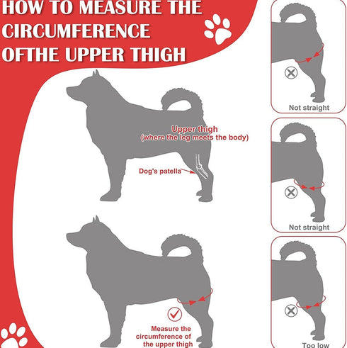 Dog Elbow Brace Protector Pads, Canine Elbow Support for Hygroma, Dysplasia, Osteoarthritis, XL