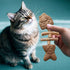 Generic Cat Teething Toy - Interactive Kitten Chew Toy for Indoor Outdoor Play, Fish Bone Wooden Teether | Relaxation