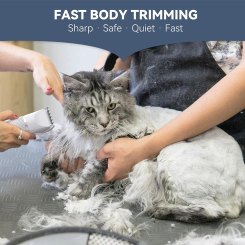 Cat Grooming Clippers Kit for Matted Hair, Bautrium 3 in 1 Electric Trimmer for Thick Hair and Heavy Coat