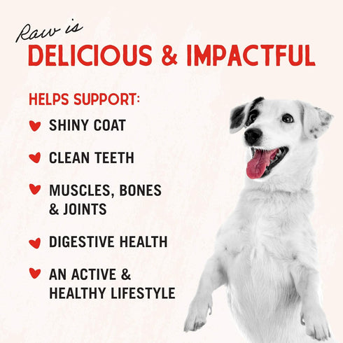 2.75oz Stella & Chewy's Freeze-Dried Raw Chicken Breast Dog Treats - Single Ingredient, No Additives - Premium Training