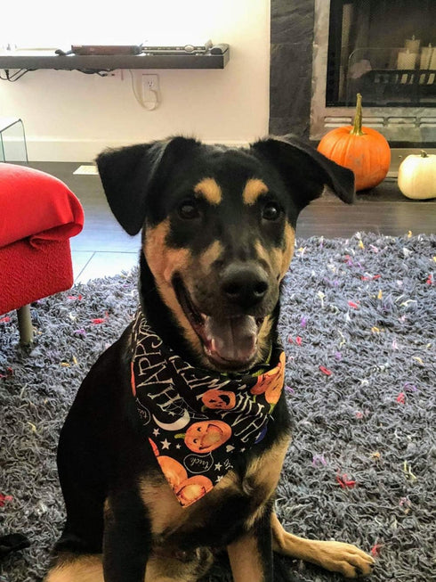 Halloween Dog Bandana, 4 PCS/Pack, Reversible Triangle Bibs Scarf Accessories for Large Dogs Cats Pets