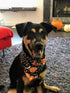 Halloween Dog Bandana, 4 PCS/Pack, Reversible Triangle Bibs Scarf Accessories for Large Dogs Cats Pets