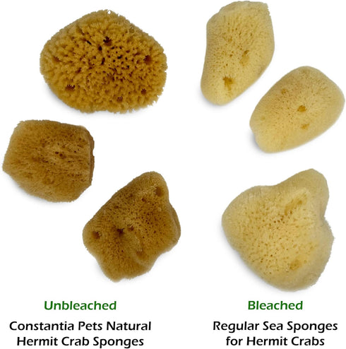Hermit Crab Real Sea Sponges, 5 Pack Unbleached for Nutrients and Habitat Tank Humidity