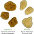 Hermit Crab Real Sea Sponges, 5 Pack Unbleached for Nutrients and Habitat Tank Humidity