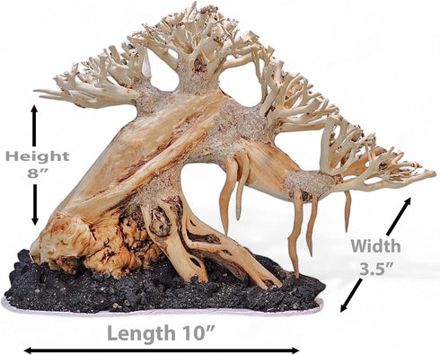 10 Azil Aquascape Bonsai Driftwood Tree Premium Natural Aquarium Decor for Fish Tanks, Freshwater Aquariums, Hardscape