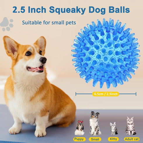 12 Pack 2.5 Inch Squeaky Dog Toy Balls, Spikey Chew Toys for Medium Large Small Dogs