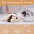 Puppy Heartbeat Toy for Anxiety Relief and Sleep Aid for Puppies - White