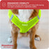 Downtown Pet Supply Step in Dog Harness for Small Dogs, No Pull, Atomic Yellow, Adjustable with Padded Mesh