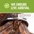 Store 2 3 Live Hermit Crabs Shipped Now-with Premium Hermit Crab Shells: Land Crabs with Extra Shells from Nature Gift