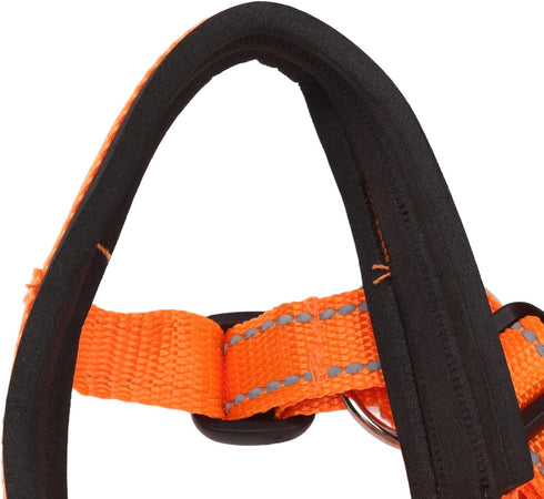 Dog Head Collar Halter with Safety Strap, Stops Pets from Pulling for Outdoor Walks (L)