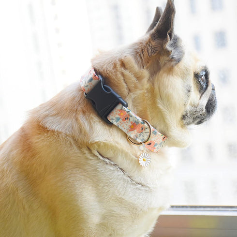 2 PCS Soft Cotton Dog Collar with Cute Flower, Adjustable for Girl Female Small Medium Large Dogs, M (13-18in), Flower-1