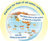 TetraMin Nutritionally Balanced Tropical Flake Food for Tropical Fish, 7.06 oz (Pack of 1)
