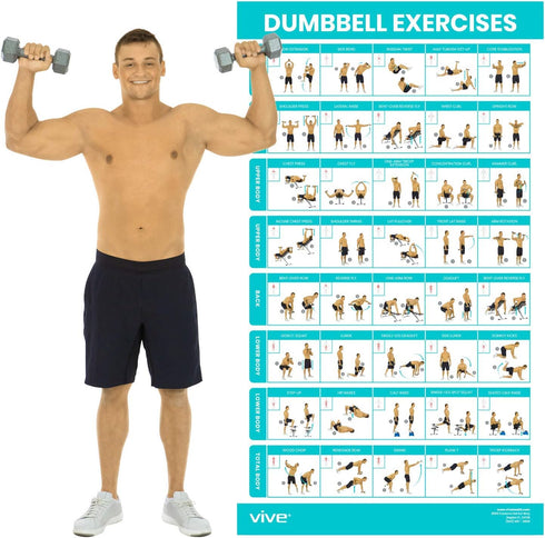Vive Dumbbell Workout Poster - Laminated Home Gym Exercise Chart for Upper, Lower, Full Body Workouts