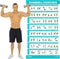 Vive Dumbbell Workout Poster - Laminated Home Gym Exercise Chart for Upper, Lower, Full Body Workouts
