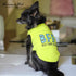 Parisian Pet Dog Tshirt, Sleeveless “BFF (Best Furry Friend)” Embroidered Clothes, Lightweight Tank Top for Medium Dogs