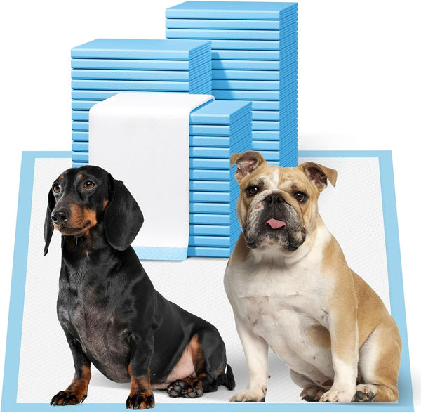 Bulubaky 23" x 23" Puppy Pads 200 Count | 6-Layer Super Absorbent