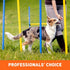 Cloud Star Tricky Trainers Grain-Free Variety Pack – Four Flavors: Peanut Butter, Liver, Cheese, Salmon (5oz Each, 20oz