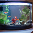 3 Pcs Betta Fish Leaf Pad Aquarium Décor, Simulating Natural Habitat for Spawning Grounds and Resting Bed.