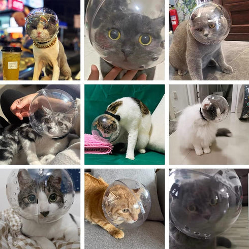 Cat Muzzle Combo - Adjustable Cat Hood - Breathable Anti-Bite Muzzles for Small Pets (M for Neck 6.8-9.25")
