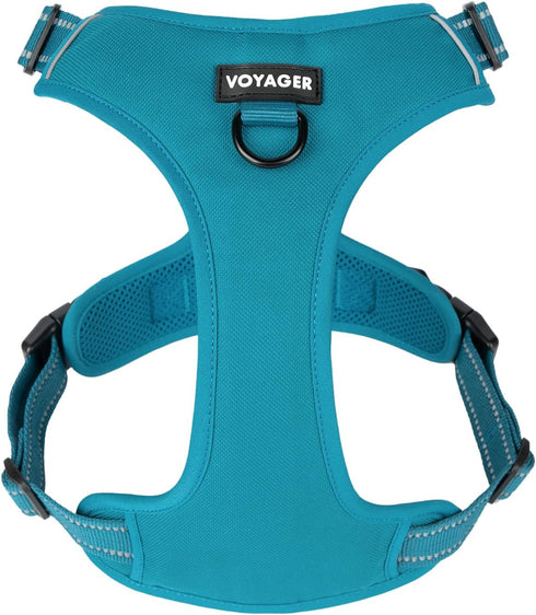 Voyager No Pull Dog Harness for Small Dogs, Adjustable Soft Pet Harness with Dual Leash Attachments, Turquoise Nylon