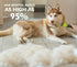 Pecute Pet Dematting Tool 2 Pack - Double Sided Rake & Comb for Medium or Long-haired Dogs & Cats