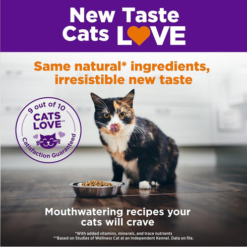 Wellness Complete Health Natural Dry Cat Food with Wholesome Grains, Real Meat (Adult Cat, Chicken & Chicken Meal