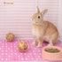 Niteangel 2pcs Rabbit Cage Mat, Durable Foot Resting Pads for Bunny, Guinea Pigs, Chinchillas, Cats & Other Small Pets