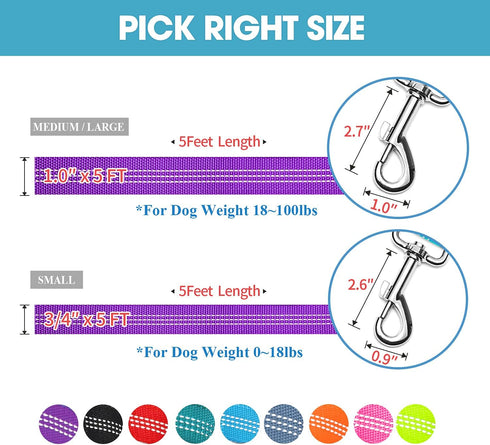 BAAPET 5 Feet Nylon Dog Leash, Triple Reflective Threads with Padded Handle for Walking Medium and Large Dogs (Purple)