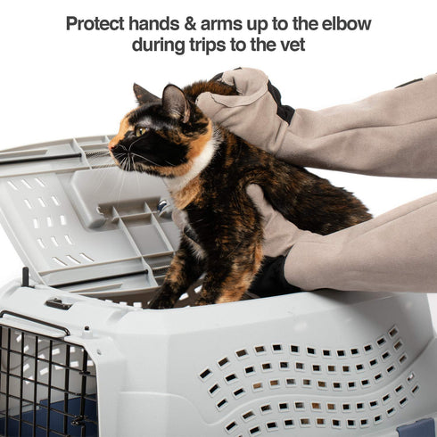 PetFusion Multipurpose Pet Glove for Grooming, Vet Trips, Handling - Puncture & Scratch Resistant, Water Resistant, Grey