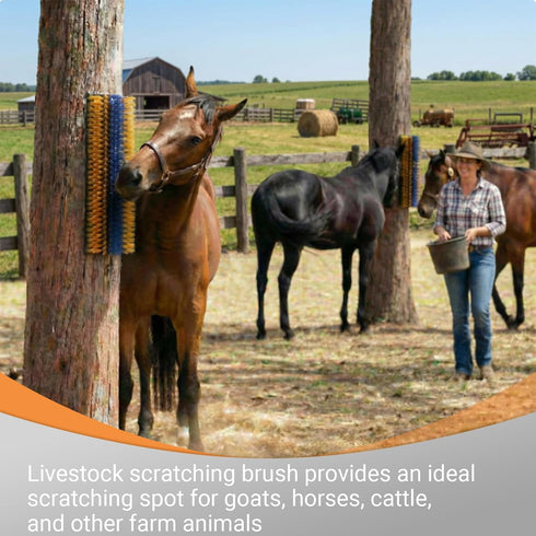 2 Pack Livestock Scratching Brush, Large Horse Grooming Brush Kit With Stainless Steel Curry Comb for Full Massage