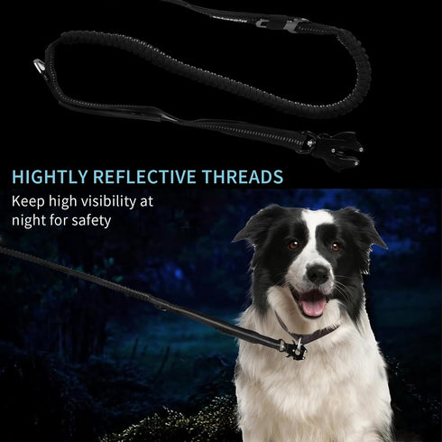 Heavy Duty Tactical Dog Leash for Large Dogs, 4-6 Foot Reflective Bungee with Two Padded Traffic Handles