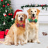 Malier Christmas Classic Plaid Dog Collar with Bow Tie, Adjustable Buckle for Small Medium Large Pets - S