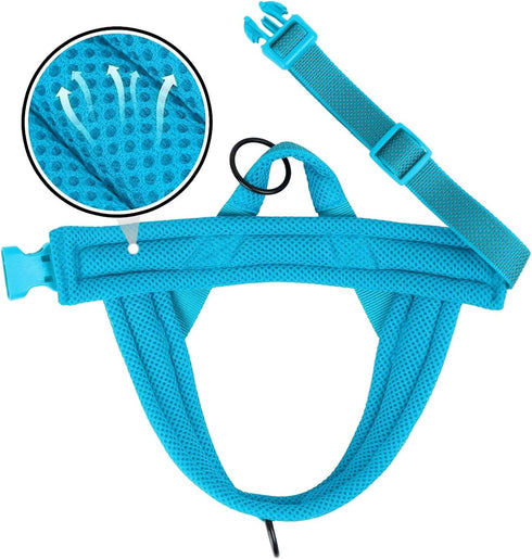 Didog No Pull Dog Harness, Breathable Mesh Padded, Quick Fit Adjustable Vest for Small, Medium & Large Dogs (Blue, S)