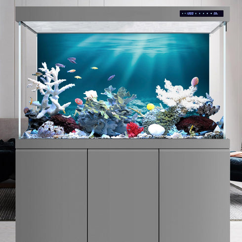AWERT 36x18 inches Sunshine Underwater World Fish Tank Background, Undersea Theme Aquarium Background Vinyl