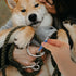 Mipcase Dog Whistle to Stop Barking, Adjustable Whistle for Dog Training