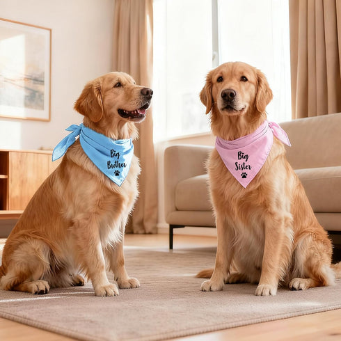2 Packs Big Sister and Big Brother Pet Dog Bandana, Triangle Scarf for Small Medium Large Dogs, Baby Announcement